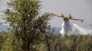Maroc : la forêt d'Amelay en proie à un incendie