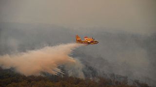 Un incendie ravage la forêt d'Amelay au Maroc