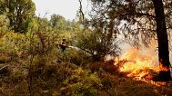 Incendios forestales en España ya han quemado más de 100.000 hectáreas