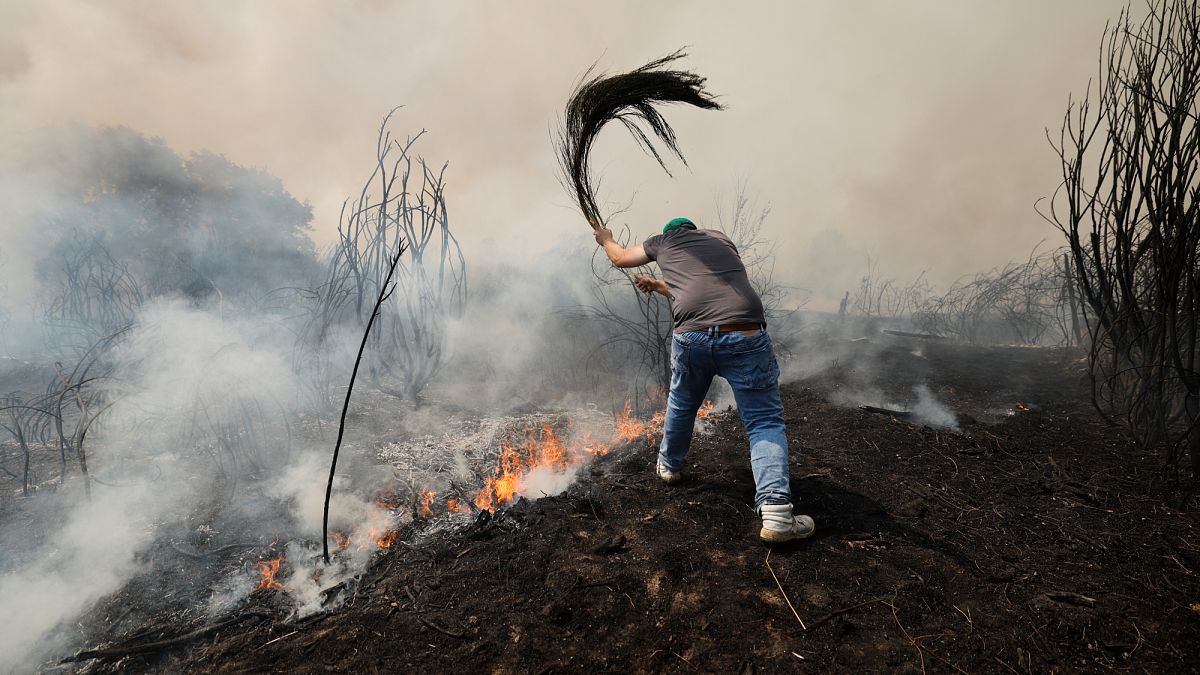 Wildfires in Spain and Portugal force evacuations and deployment of thousands of emergency personnel