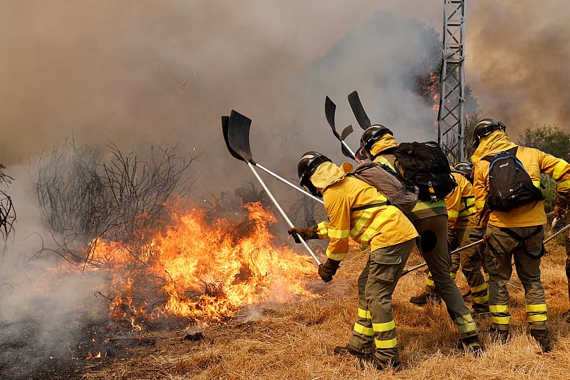 I vigili del fuoco combattono un incendio boschivo a Veiga das Meas, nel nord-ovest della Spagna, 16 agosto 2025