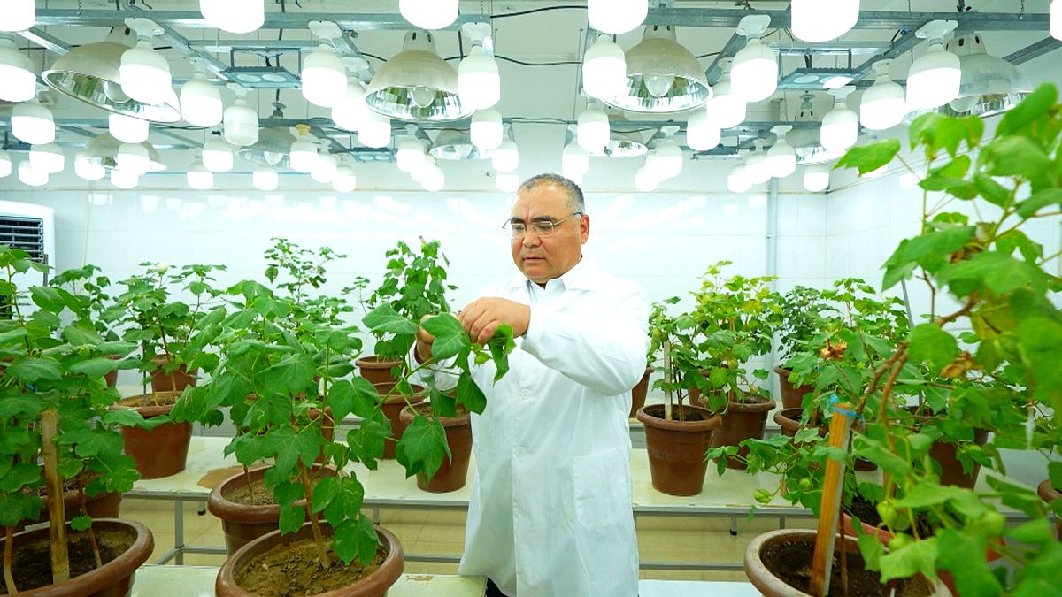 Le ministre de l'agriculture ouzbek qui a transformé la génétique de l'agriculture