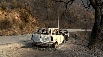 More than 172,000 hectares burned as Portugal fights multiple blazes