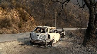 More than 172,000 hectares burned as Portugal fights multiple blazes