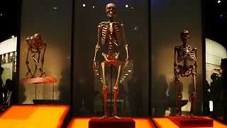 Découverte d’une nouvelle espèce d'homme primitif en Éthiopie