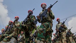 Somalia says dozens of al shabab fighters killed in army operation
