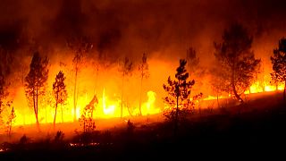 Worst wildfire season in decades burns over 340,000 hectares in Spain