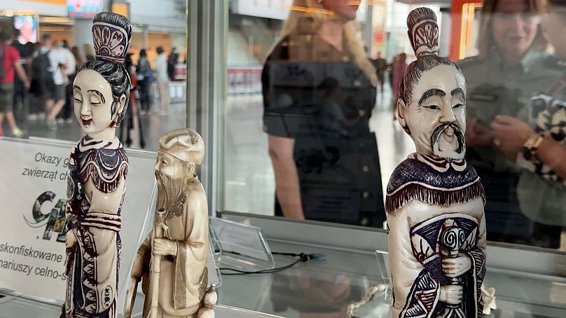 Figurki zarekwirowane przez funkcjonariuszy celno-skarbowej.
