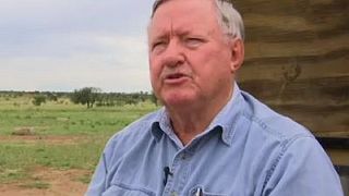 Af. du Sud : l'ex-propriétaire d'une ferme de rhinocéros arrêté pour trafic