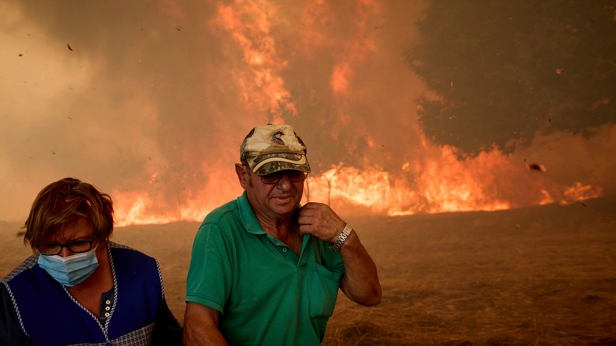 Espagne : les manifestants demandent le contrôle des incendies de forêt par le gouvernement central