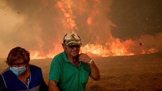 Protesters call for central government control of wildfires in Spain