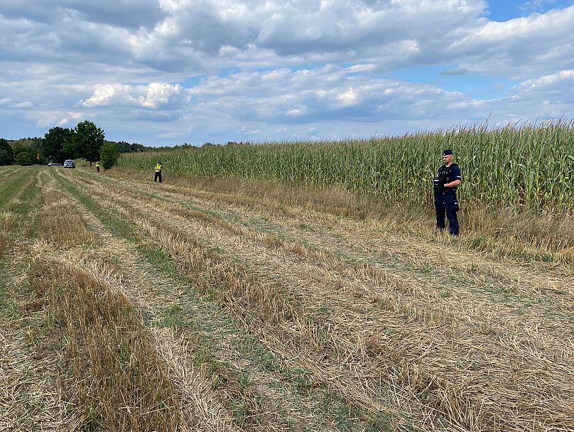 Police secure a cornfield where an unidentified flying object crashed and exploded in Osiny, 20 August, 2025