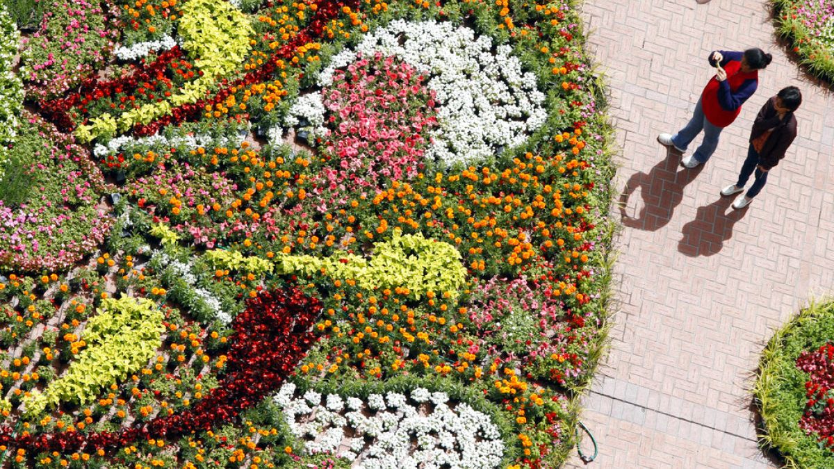 Hongrie : le carnaval des fleurs de Debrecen célèbre en couleurs la fête nationale hongroise