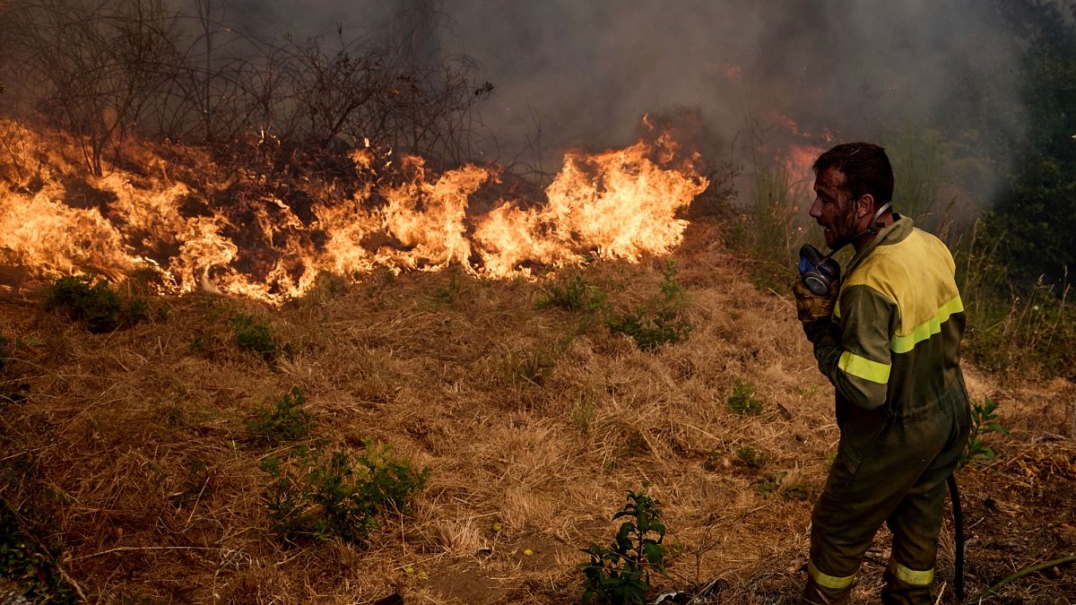 Témoignages de pompiers espagnols : "c'est en hiver qu'on éteint les incendies, pas en été"