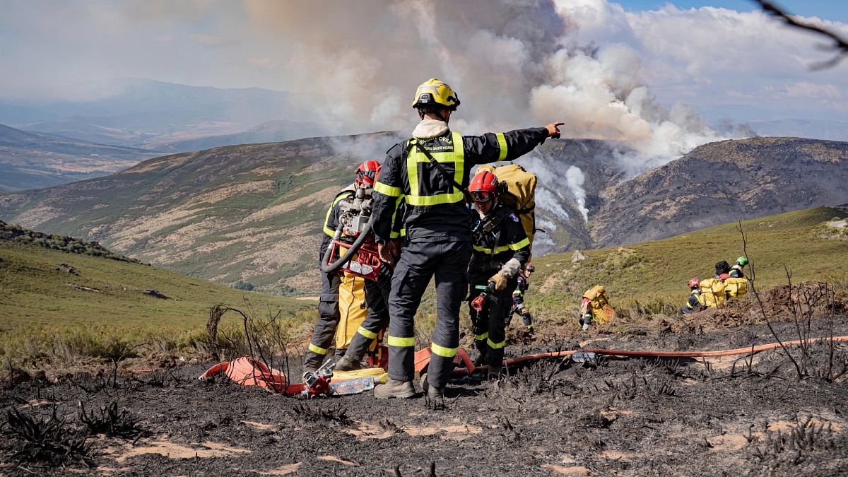 No, Spain’s wildfires were not started on purpose to clear land for construction projects