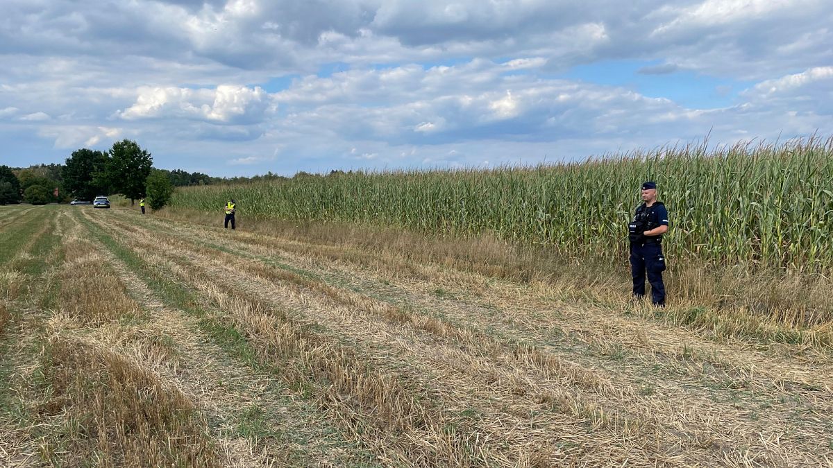 Expert: drone incidents will continue in Poland as long as there is a war across our border