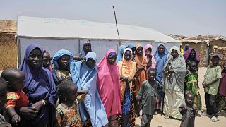 Nigeria : 76 otages libérés par l’armée dans l’État de Katsina