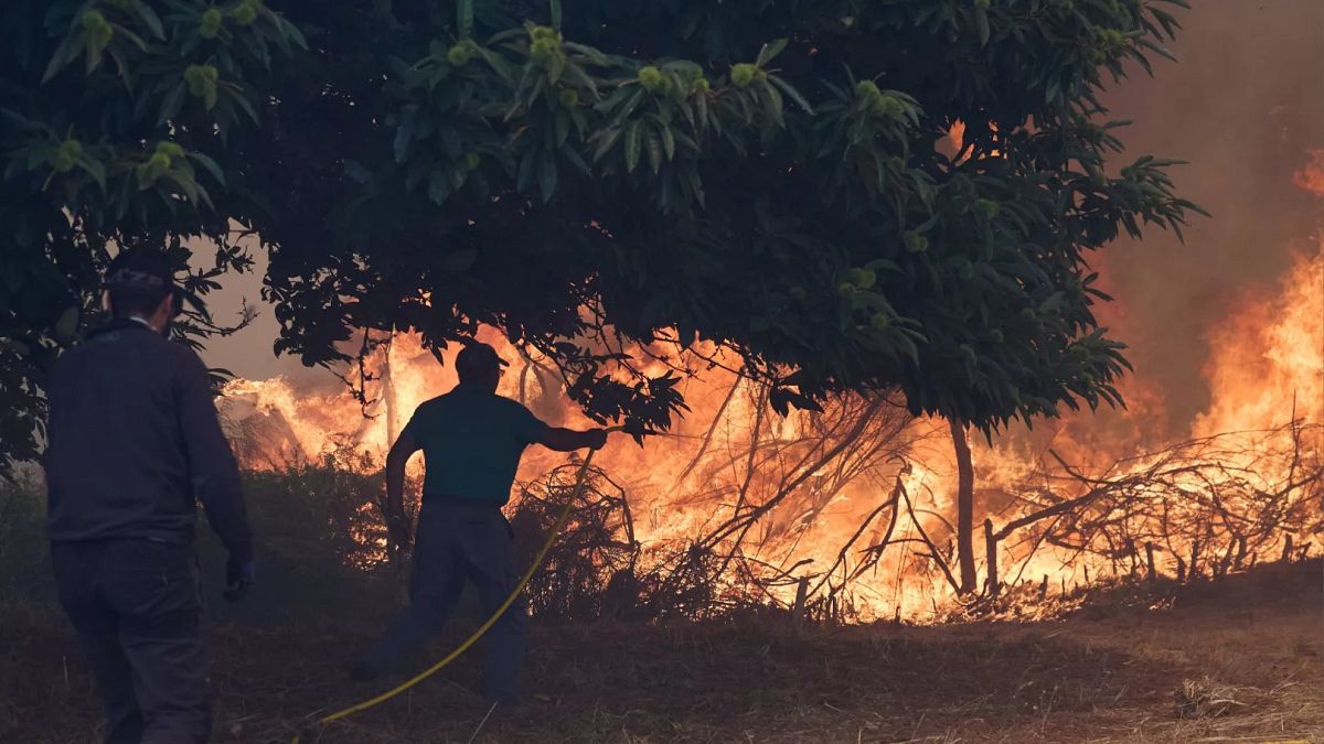 Unions warns of ‘low’ firefighter numbers as EU faces record wildfires