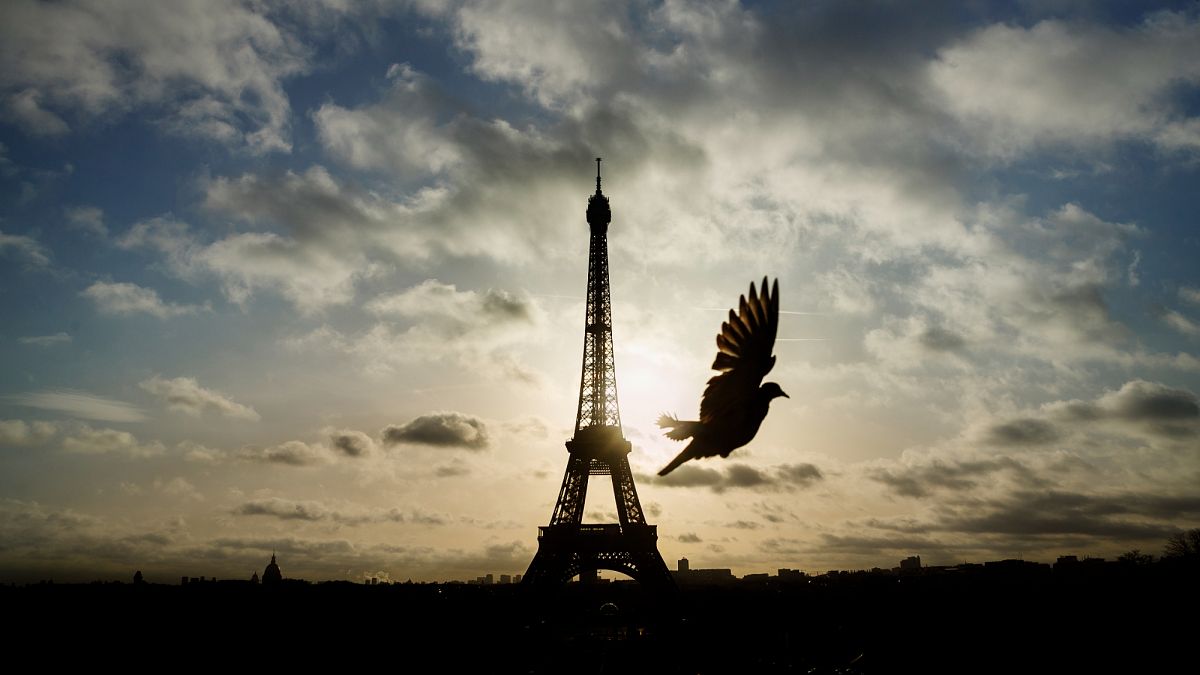 Deux adolescents mis en examen pour des projets d'attentats contre la tour Eiffel et des synagogues