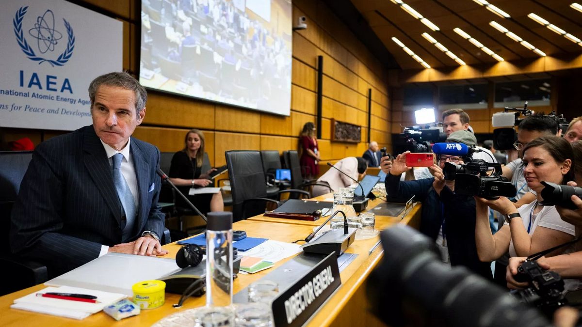 IAEA chief gets Austrian Cobra police protection over 'unspecified threat'