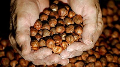 Nigeria bans raw shea nut exports to boost local industry
