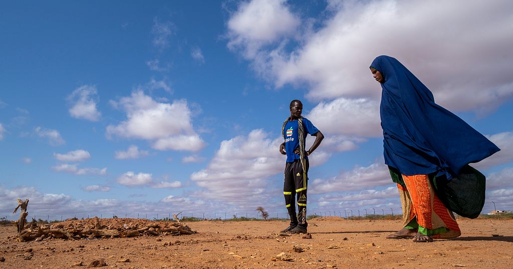 Aid cuts are putting emergency nutrition programmes in Africa at risk