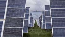 Énergie renouvelable : l'Afrique de plus en plus connectée aux panneaux solaires chinois