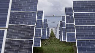 Africa’s imports of Chinese solar panels jump 60% as continent turns to renewables