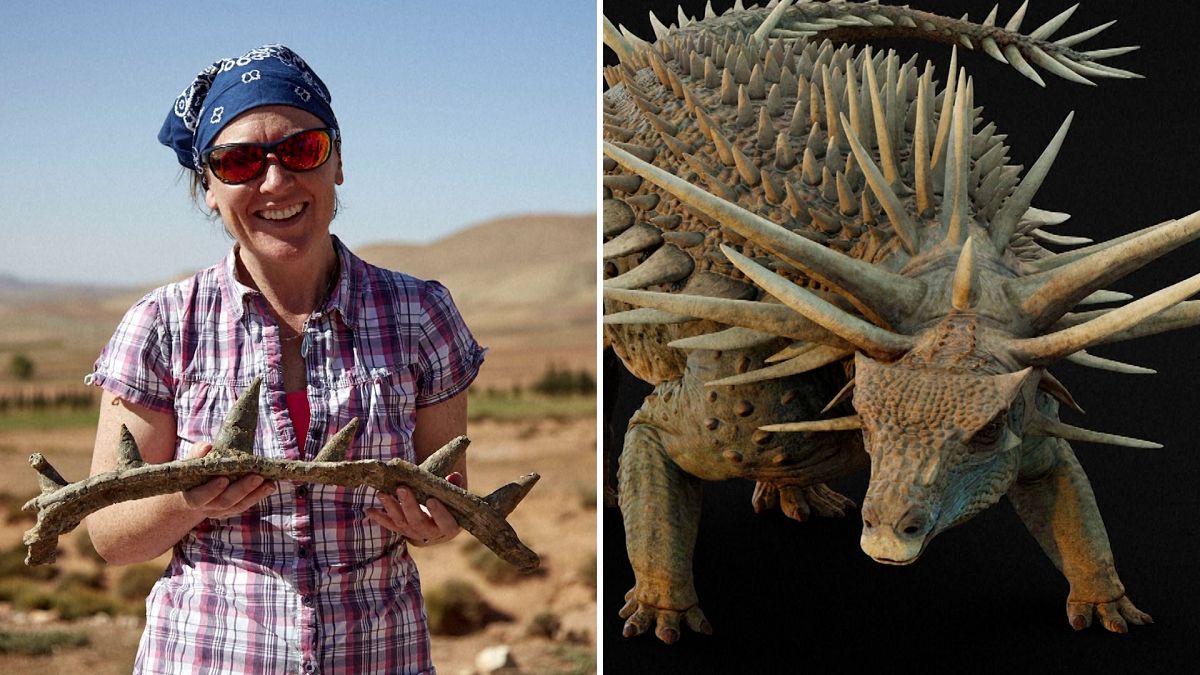 165-million-year-old spiked dinosaur with ‘weaponised tail’ discovered in Morocco