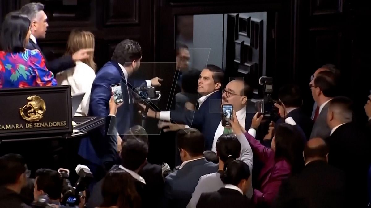 شجار وعراك بالأيدي بين أعضاء مجلس الشيوخ المكسيكي