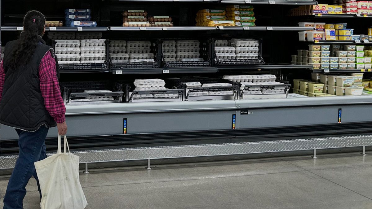 Los comestibles en Portugal son € 17 más caros que hace un año, los huevos ven el mejor aumento de precios