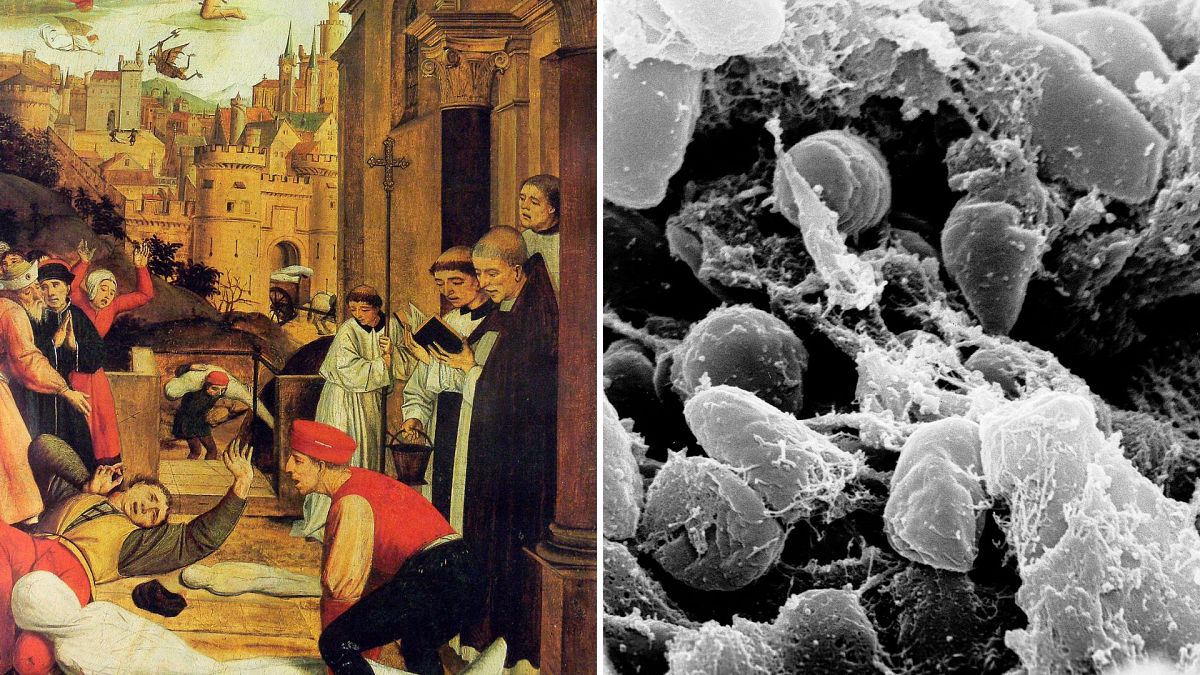 Ancient DNA solves mystery behind world's first pandemic