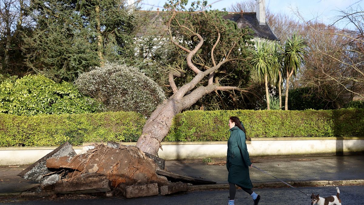 From Amy to Wubbo: How do meteorologists choose storm names and why are they important?