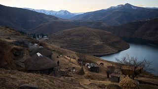 Potato powers transformation in Lesotho’s agriculture sector