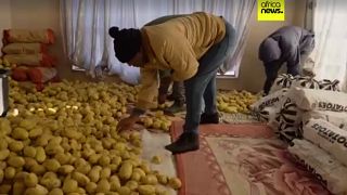 Lesotho : la révolution par la pomme de terre