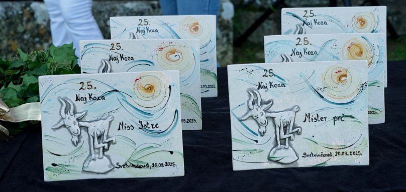 Awards for Miss and Mister Goat at the 2025 Goat Beauty Pageant in Svetvinčenat, Croatia