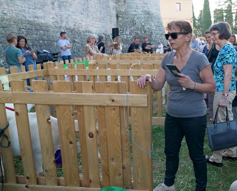 Visitors at the 25th Goat Beauty Pageant in Svetvinčenat, Croatia. In the background, the walls of Morosini-Grimani Castle
