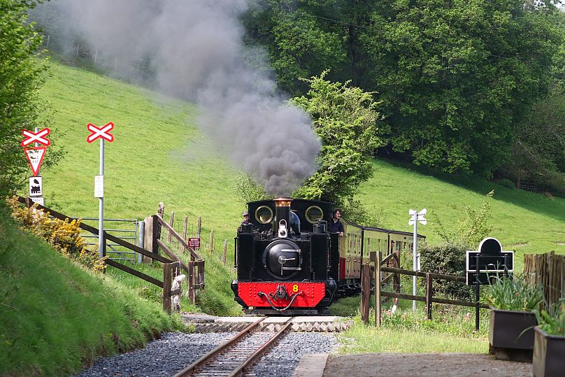 The Vale of Rheidol Railway