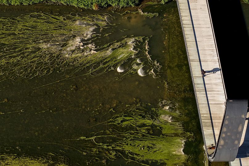 An aerial view of the almost dried-up Miljacka River and algae peeking through amid a heat wave and drought in Sarajevo, 10 August, 2025