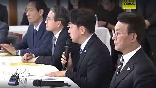 300 South Korean workers detained in US immigration raid to be returned home 