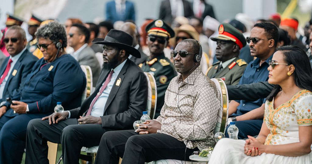 Strengthening ties: African leaders eye power imports from Ethiopia