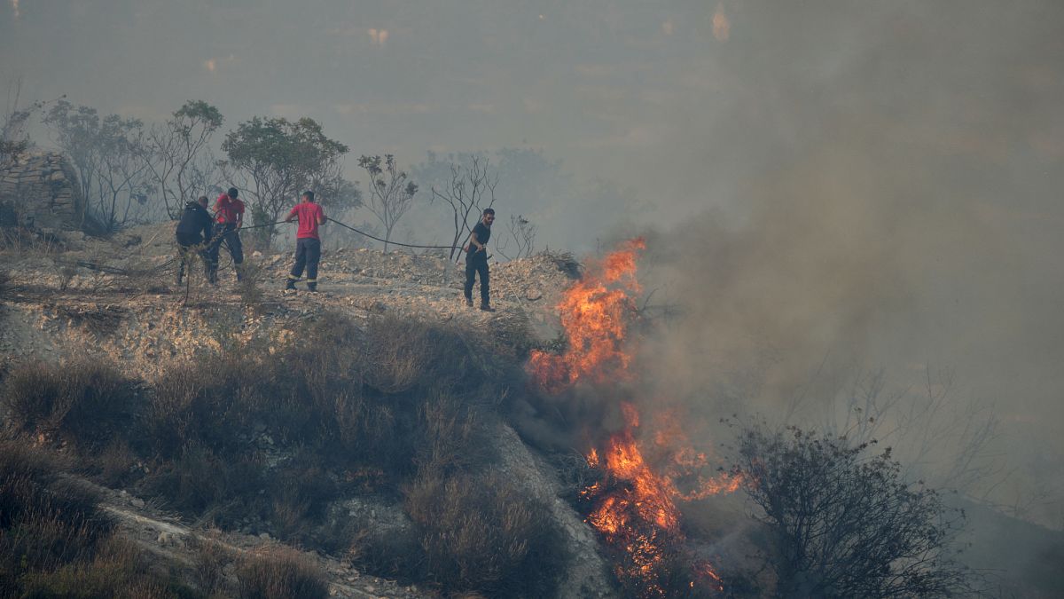 EU proposes regional hub on Cyprus to better tackle wildfires, von der Leyen says