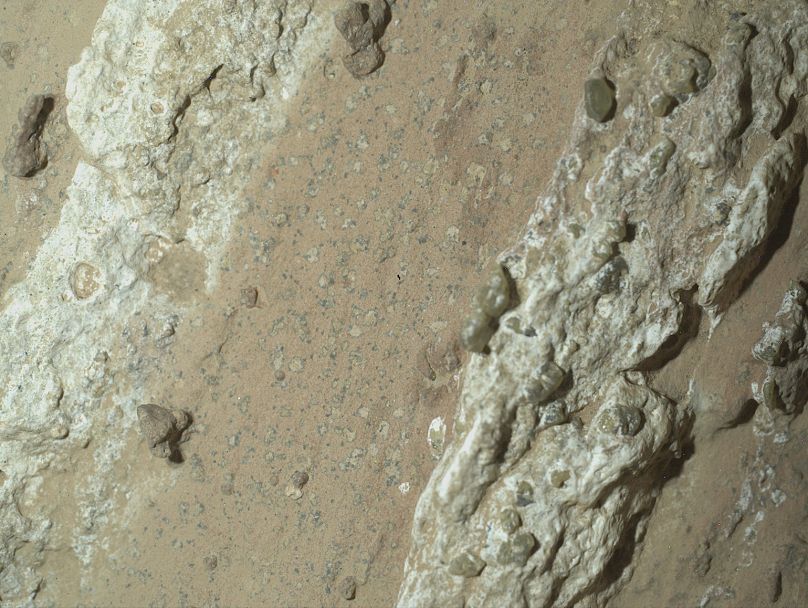 Questa immagine fornita dalla NASA mostra le macchie di leopardo su una roccia rossastra soprannominata 