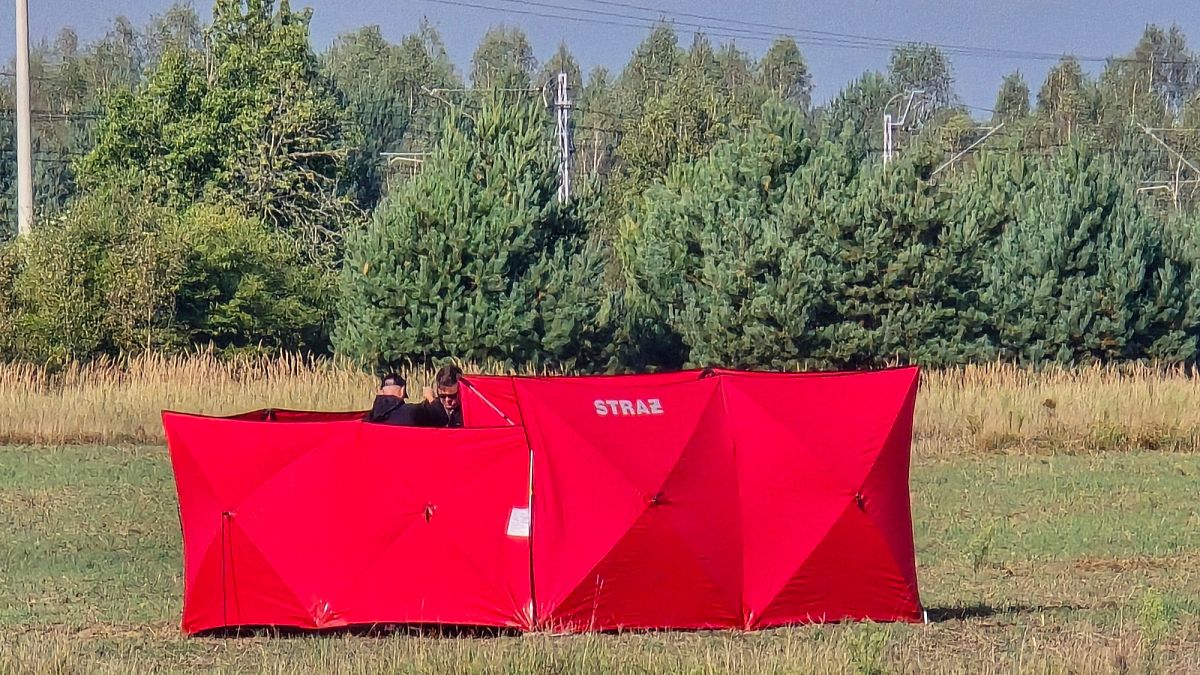 Poland calls for UN Security Council meeting after Russian drone incursion