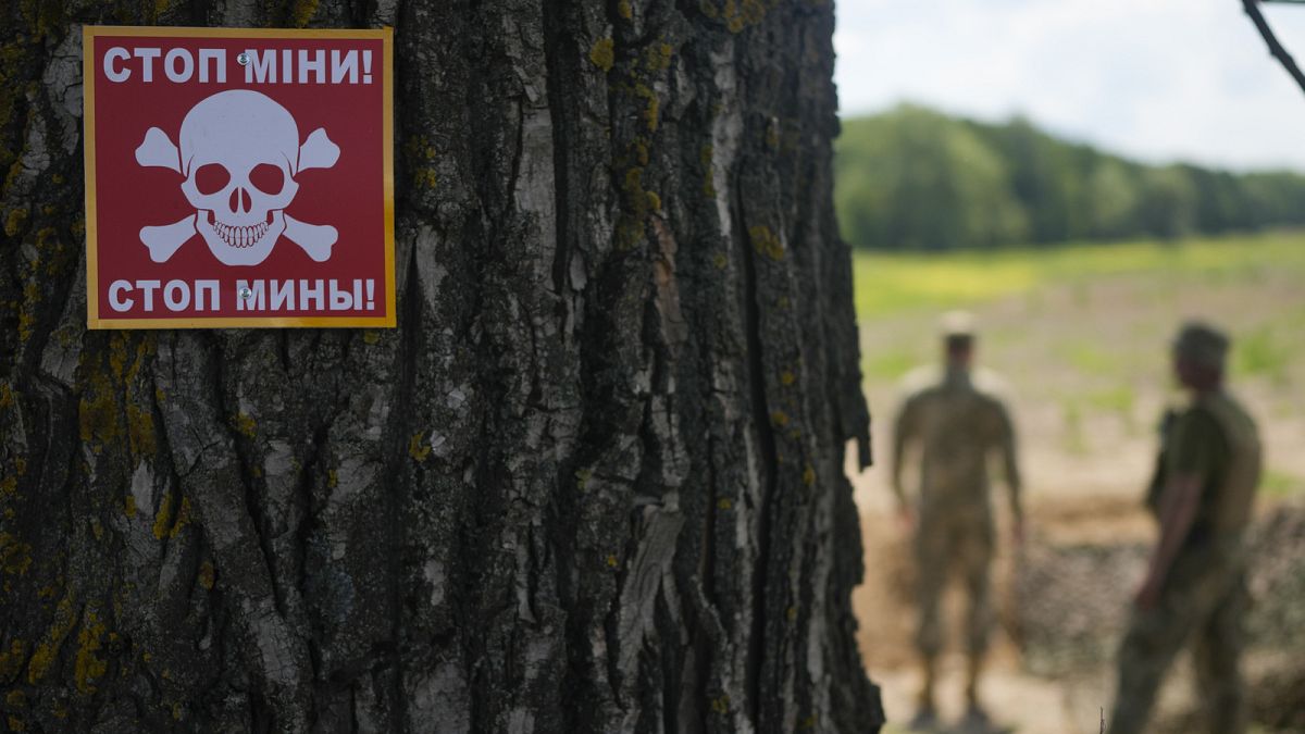 Vérification des faits : une opération pro-Kremlin utilise les médias d'investigation pour affirmer que l'Ukraine utilise des orphelins pour déminer