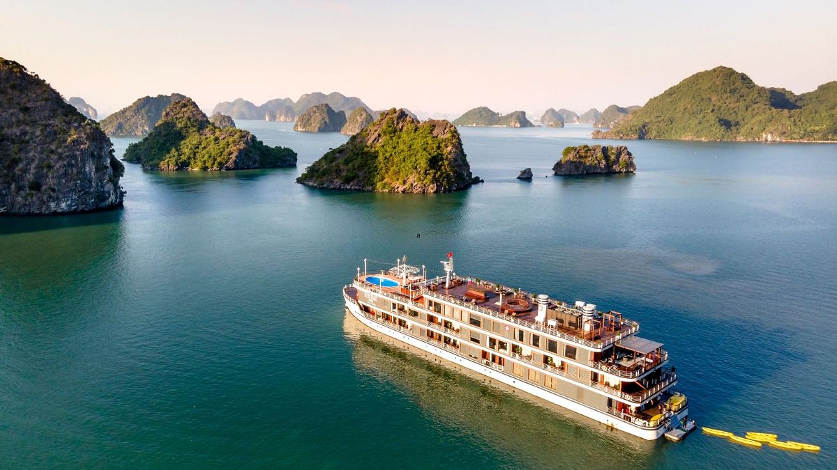 Vous aimez les croisières ? Grâce à cette application, vous pouvez désormais suivre vos voyages en temps réel