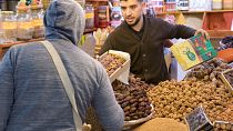 Maroc : la saison de la récolte des dattes débute dans le Tafilalet