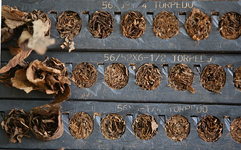Moldes con tabaco antes de ser colocados en las envolturas en una fábrica de puros, en una foto del 6 de abril de 2009.