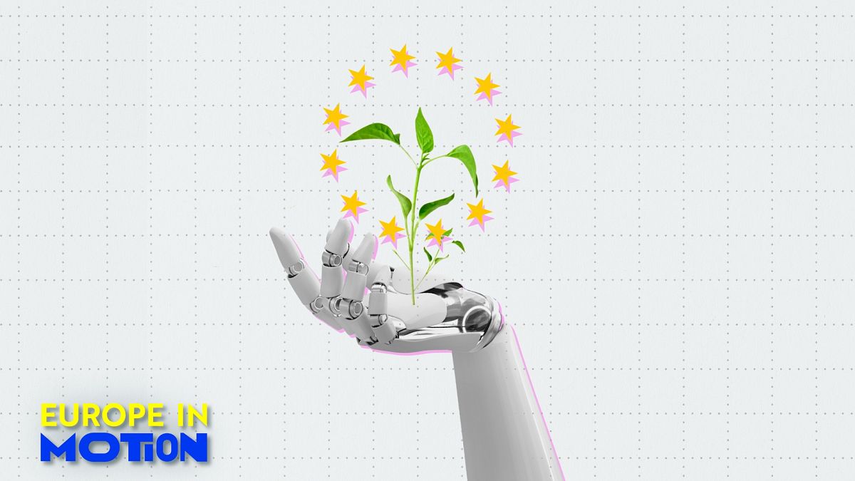 Watch the video: Who's winning the green energy race in the EU?