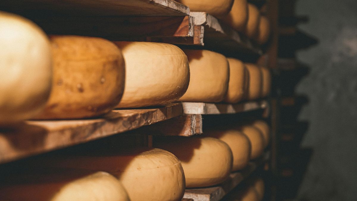 This epic European cheese journey is both sustainable and delicious